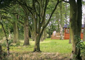 Bluewood Lodges