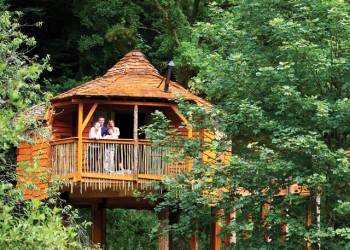 Sherwood Forest Lodges