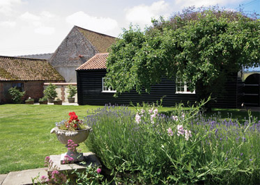 The Bull Pen