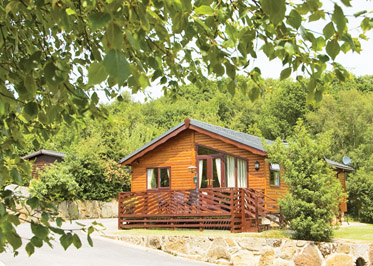 Willow Tree Lodge