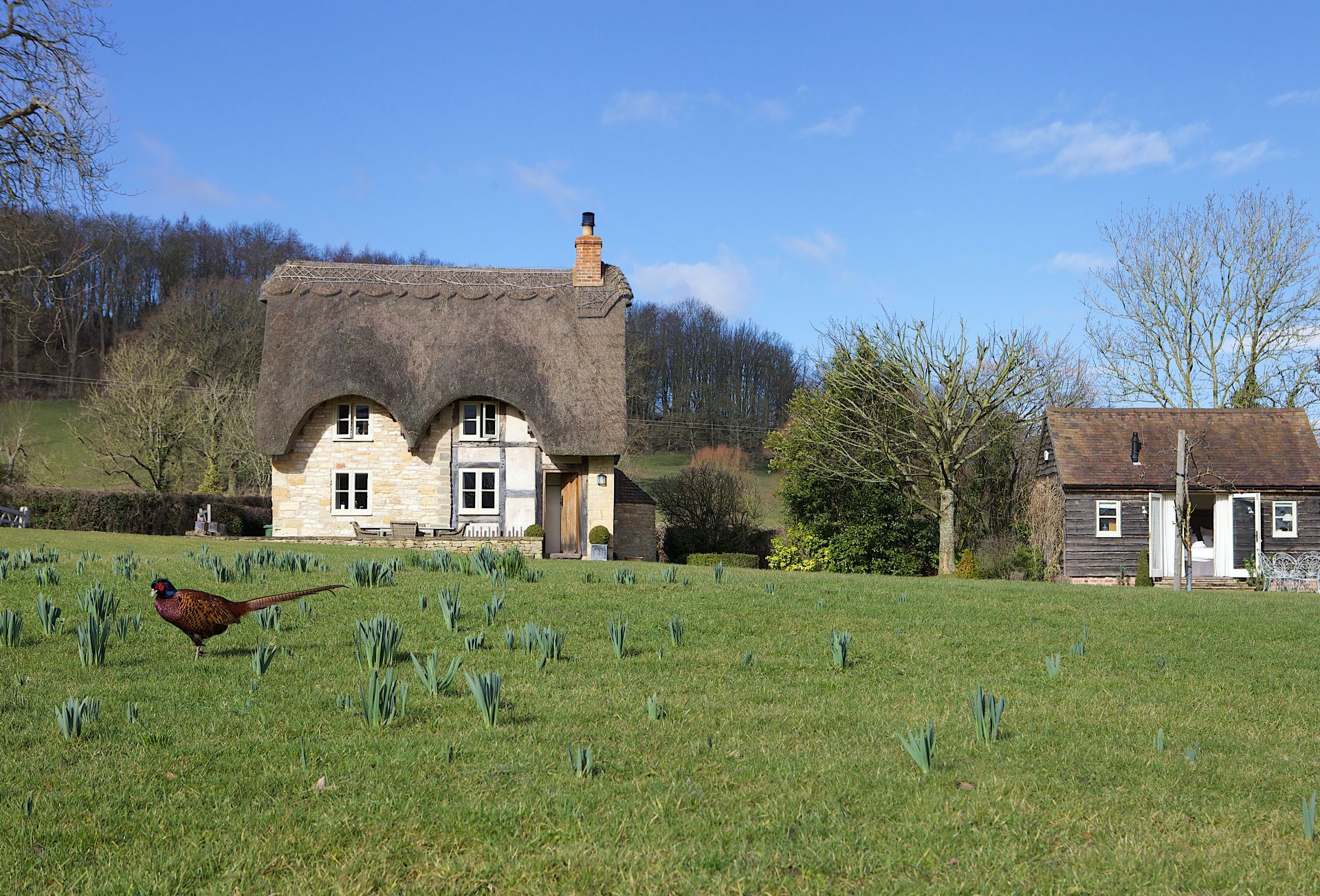 More information about Field Cottage - ideal for a family holiday