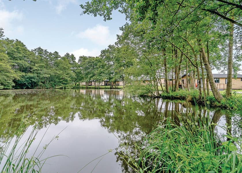 Warren Wood Country Park