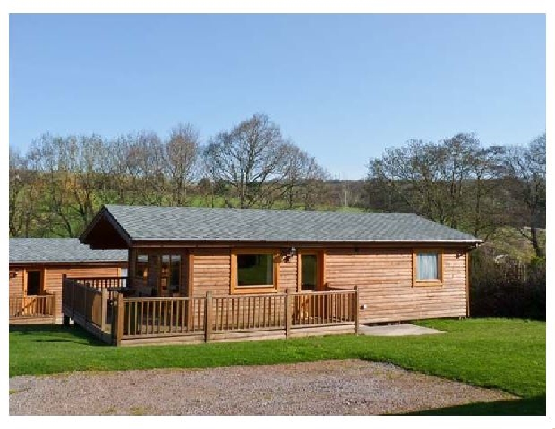 More information about Dartmoor Edge Lodge - ideal for a family holiday