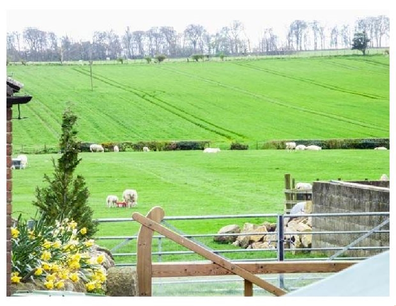More information about Willow Cottage - ideal for a family holiday