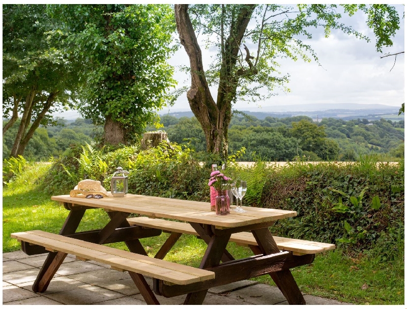 More information about Dartmoor View - ideal for a family holiday