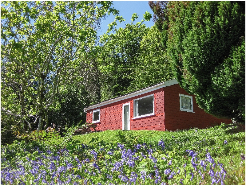 More information about Bluebell Lodge - ideal for a family holiday