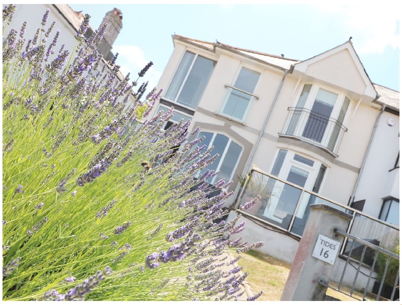 Tides a british holiday cottage for 7 in ,