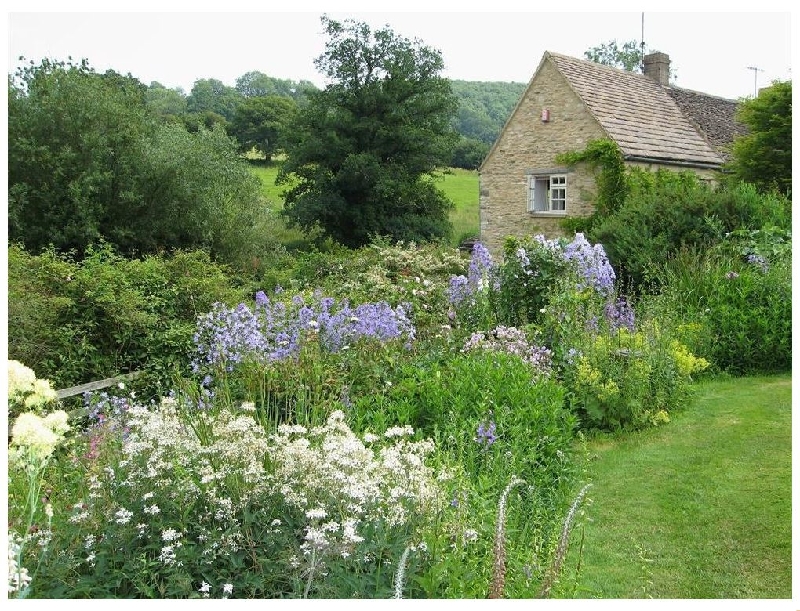 More information about Neathwood Cottage - ideal for a family holiday