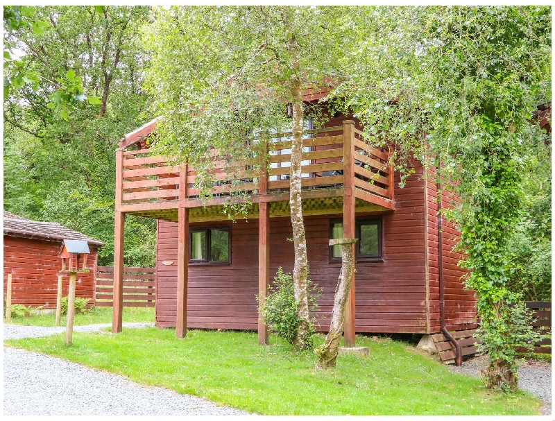 More information about Beech Tree @ Kingslakes - ideal for a family holiday