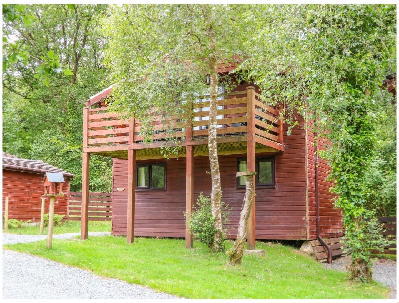 Beech Tree @ Kingslakes a british holiday cottage for 5 in , 