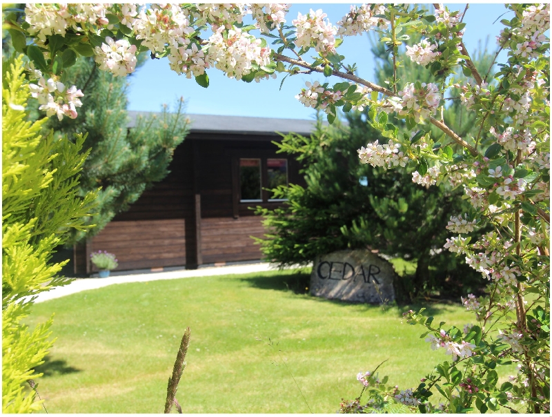 More information about Cedar Lodge - ideal for a family holiday