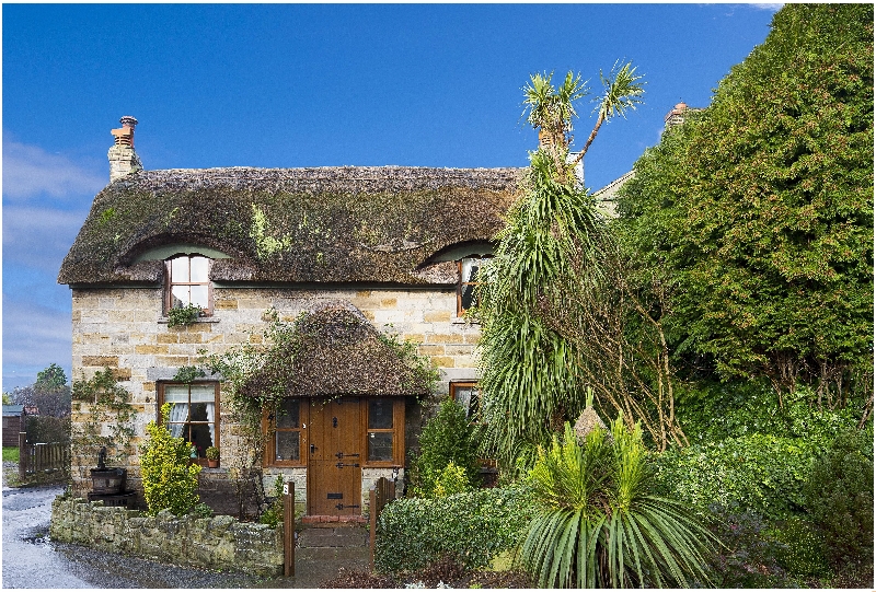 More information about Sunnybank Thatch - ideal for a family holiday