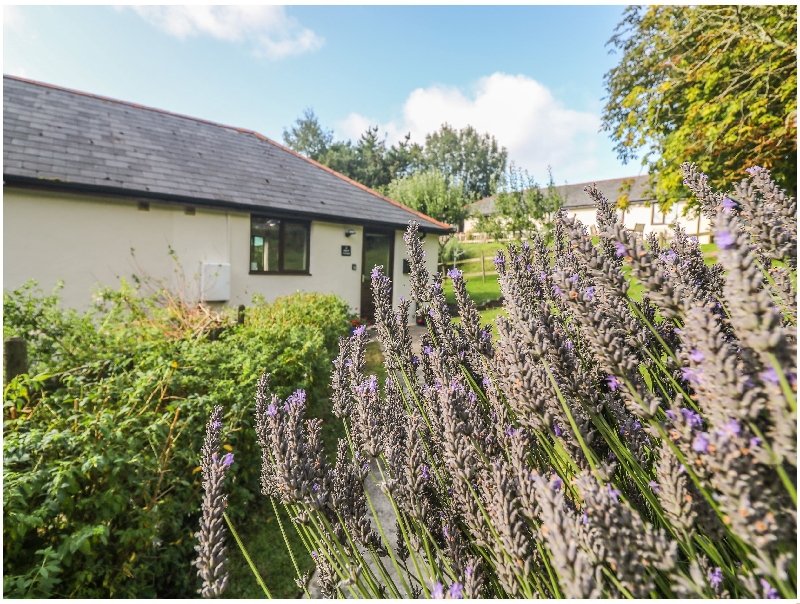 More information about Hazel Cottage - ideal for a family holiday